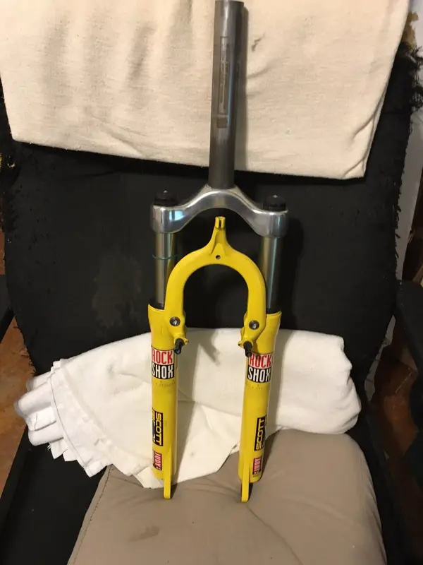 yellow judy.webp