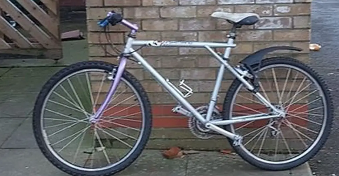 bikey.webp