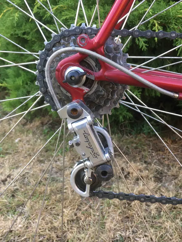 Rear Derailleur.webp