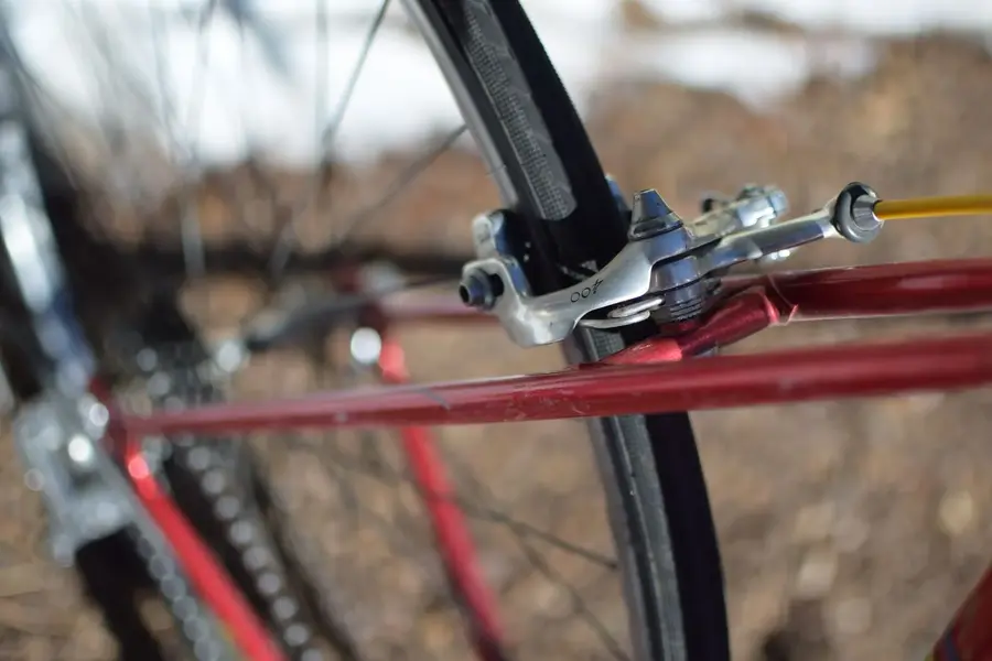 Razesa Seatstay-1600.webp
