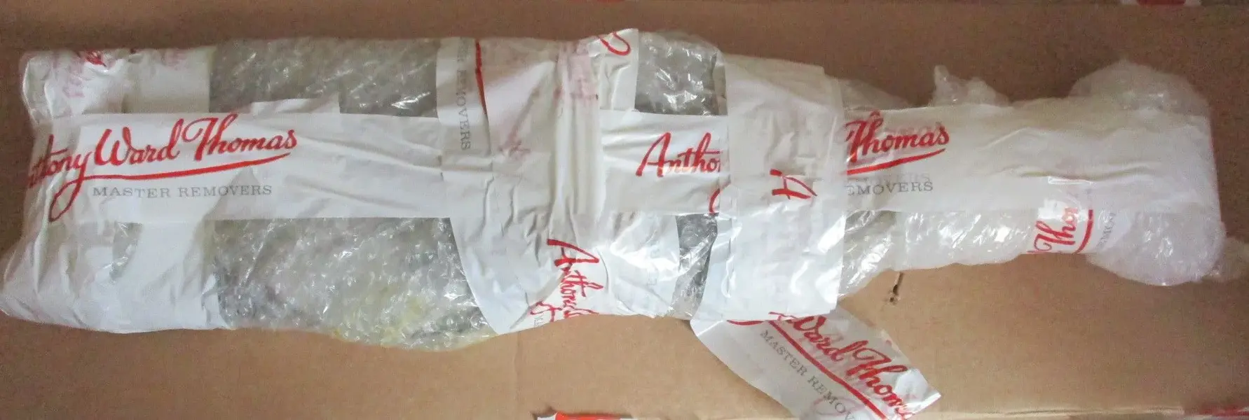 Orbit packaging 2.webp
