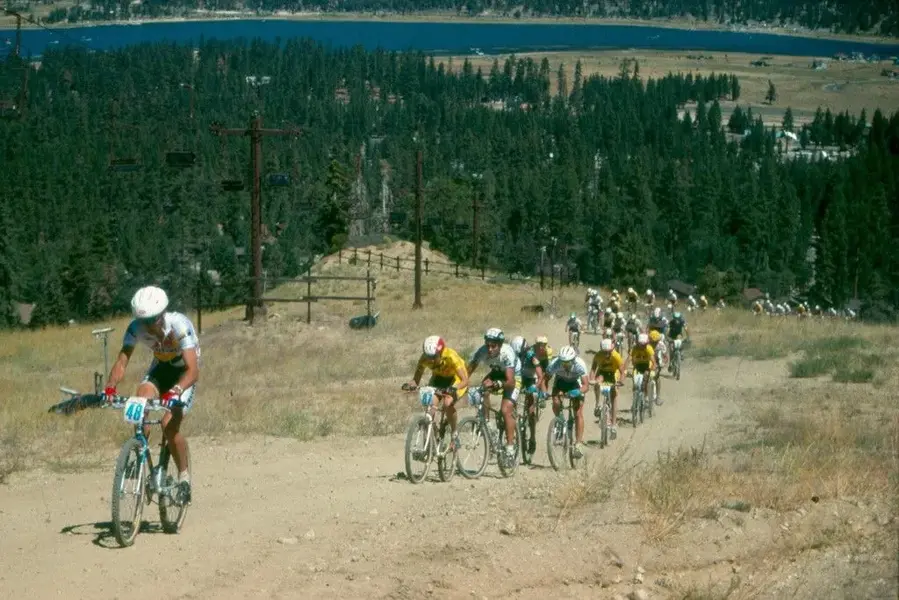 tim_gould Bear 1989 CK Collection.webp