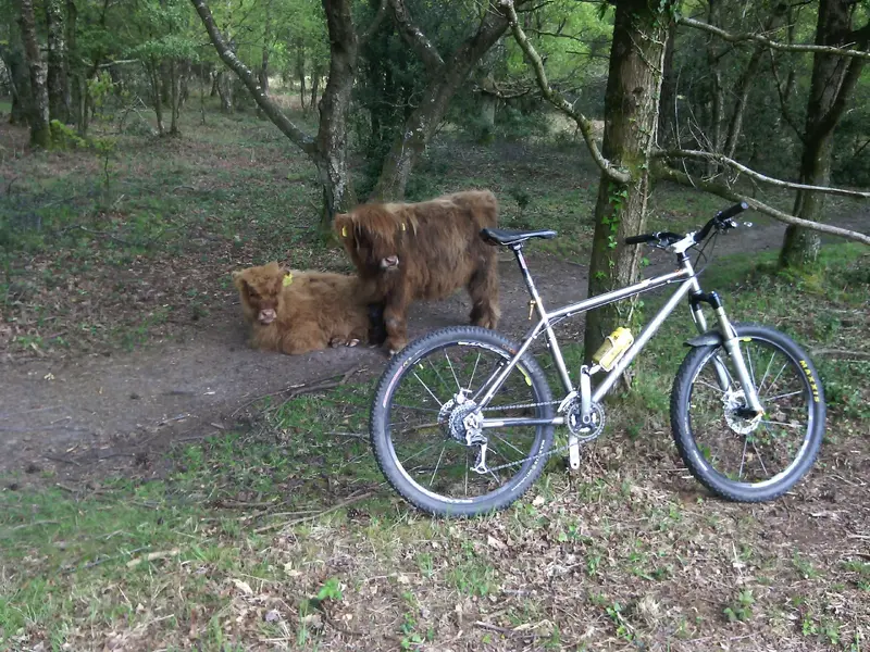 beasts.webp