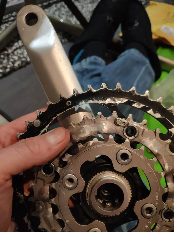 16135069143603012797445797833100.webp