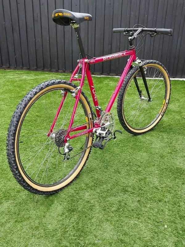 Ridgeback 704XT pic1.webp