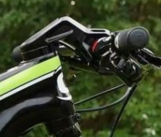 Screenshot_20210221-191728_Gallery.webp