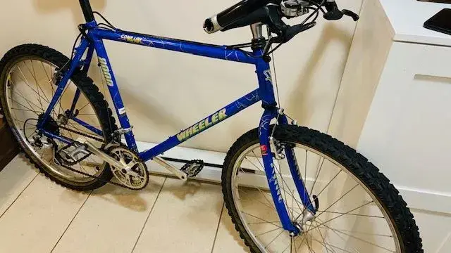 Wheeler bikes online
