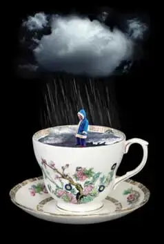 Storm-in-a-teacup.webp