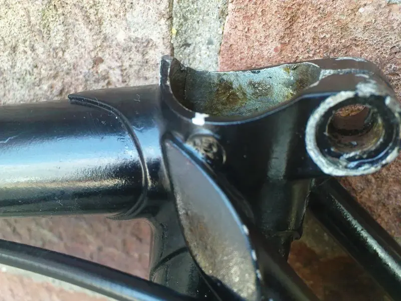 Lugs.webp