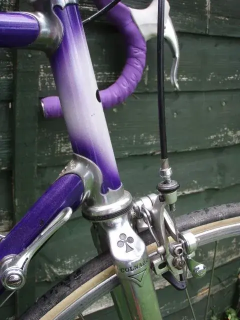 Colnago forkcrown.webp