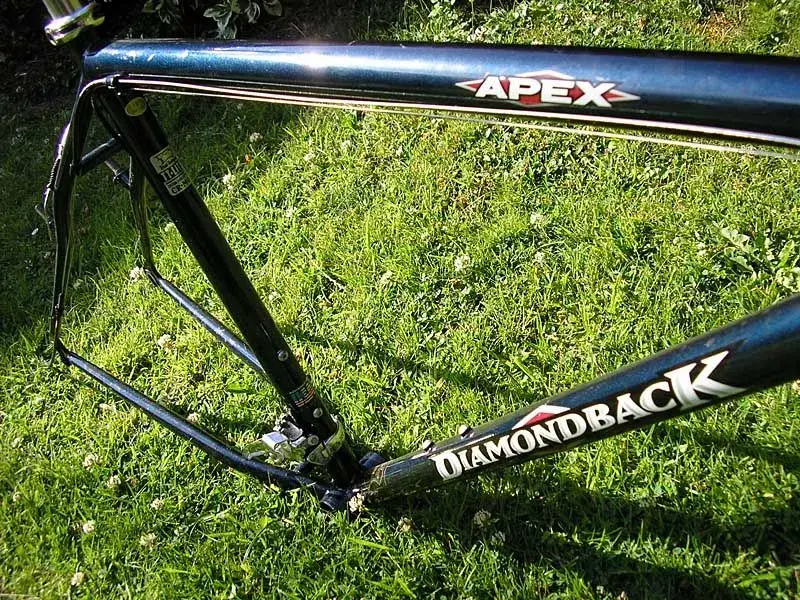 Apex3.webp