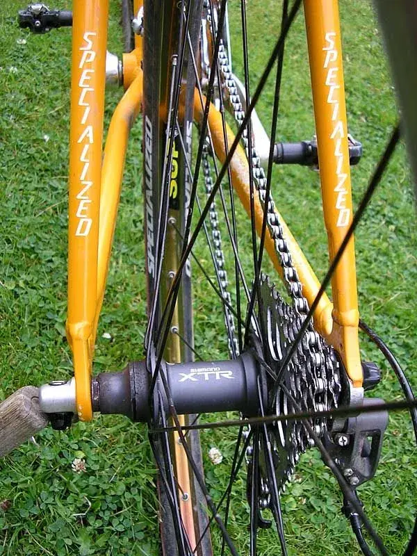 Specialized5.webp