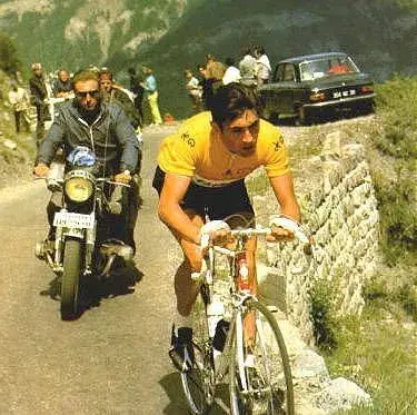 Merckx large2.webp