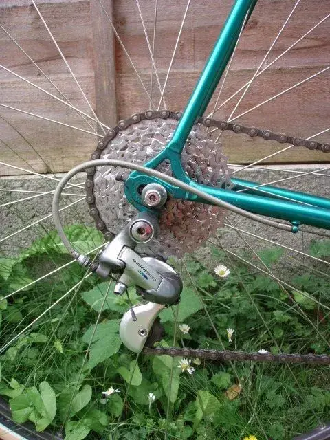 Climbing Merckx rear mech.webp