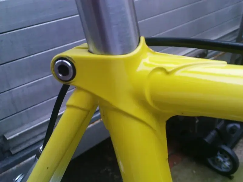 lovely lugs 2.webp