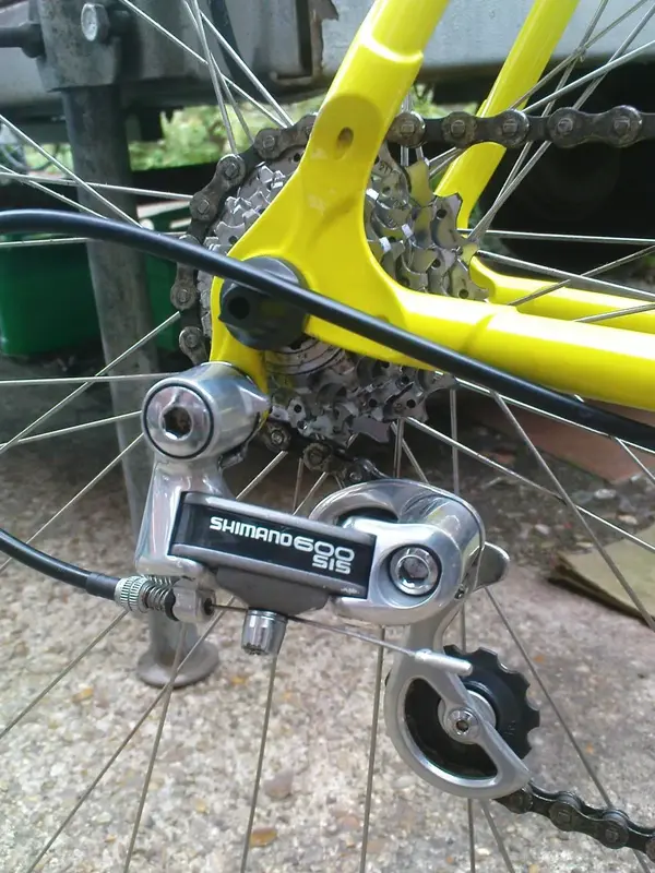 lovely lugs 1.webp