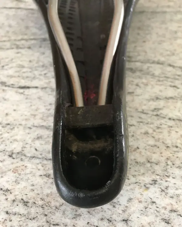 saddle under nose.webp