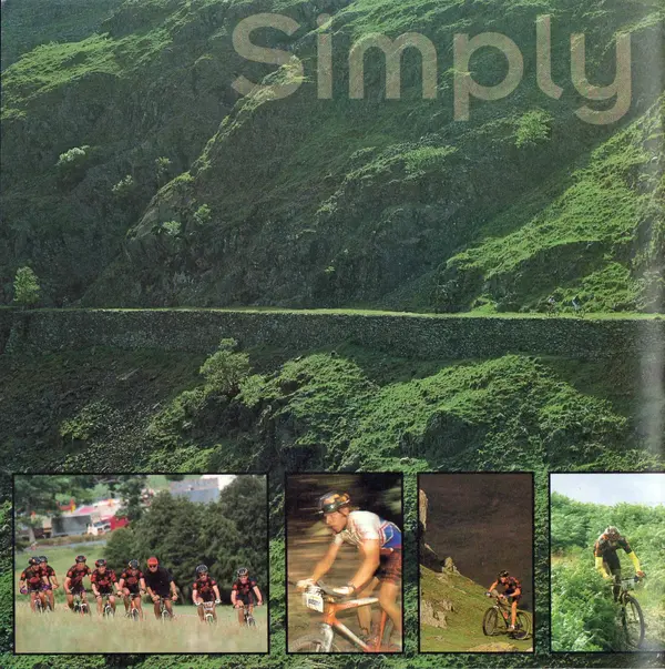 002.webp