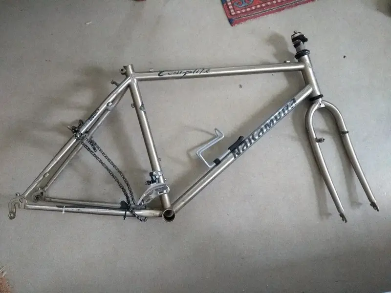 Tange ultimate 2025