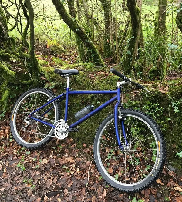 AS RIDDEN2.webp