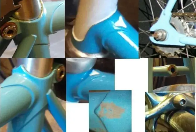 Close ups.webp