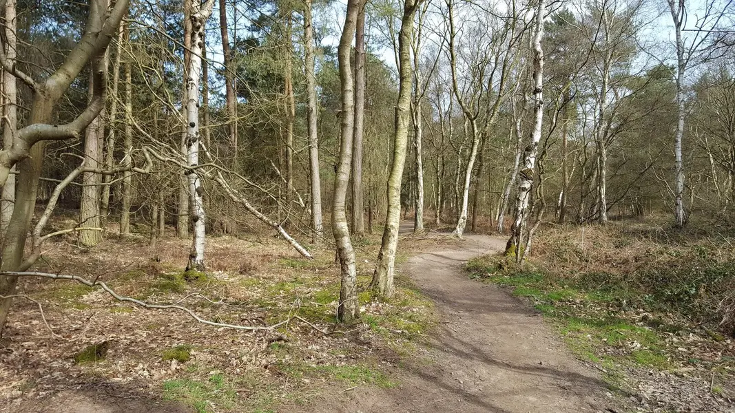 20210330_131151.webp