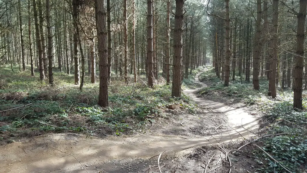 20210330_133037.webp