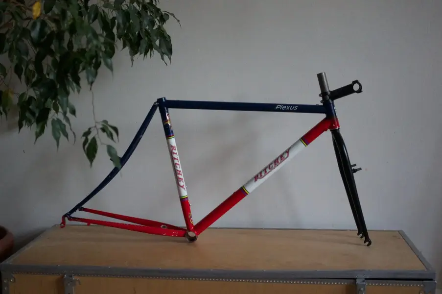 Ritchey plexus 002.webp