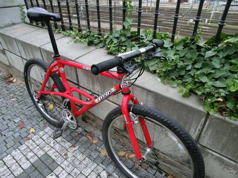 CIMG3751.webp