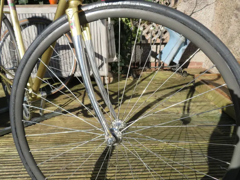 frotwheel[1].webp