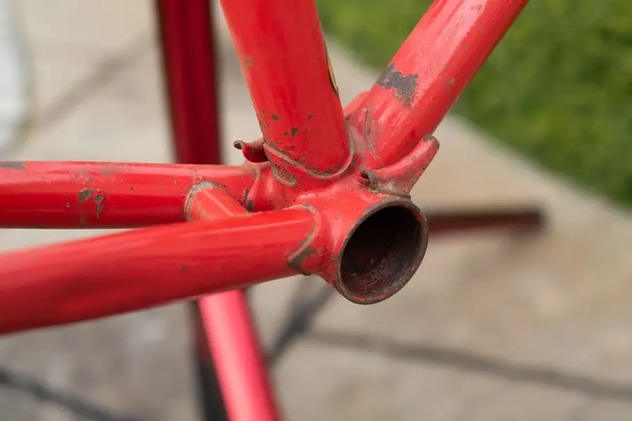 L1010436.webp