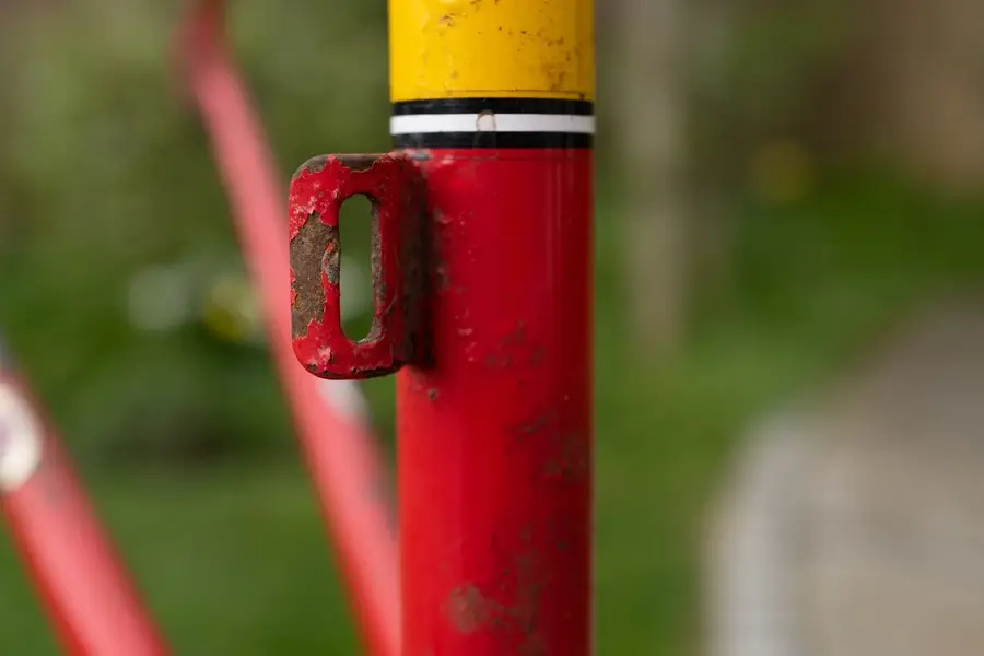 L1010445.webp