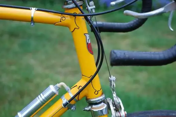 winchester yellow3.webp