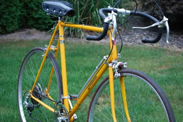 winchester yellow2.webp