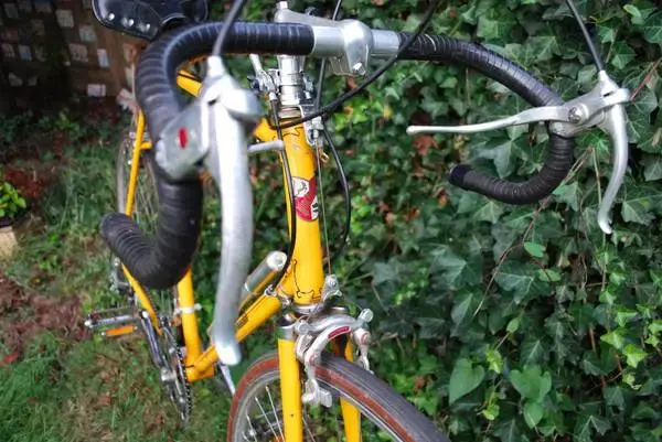 winchester yellow1.webp