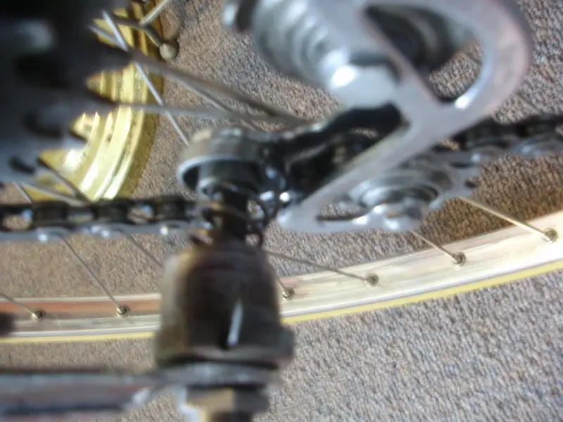 P4150004.webp