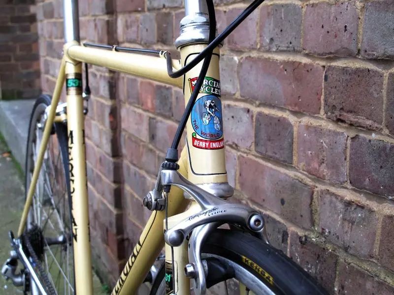 mercian 3.webp