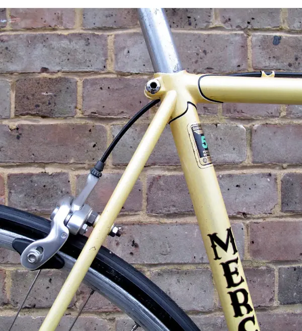 mercian 7.webp