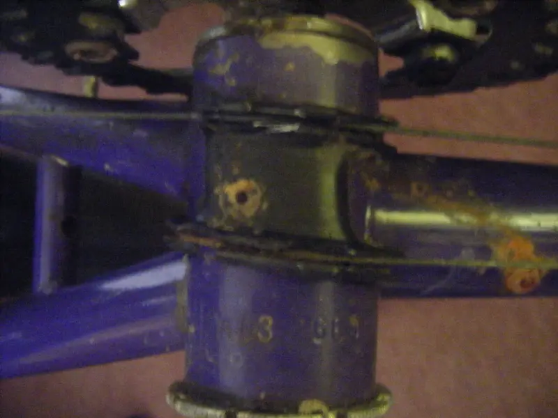 DSCF1198.JPG
