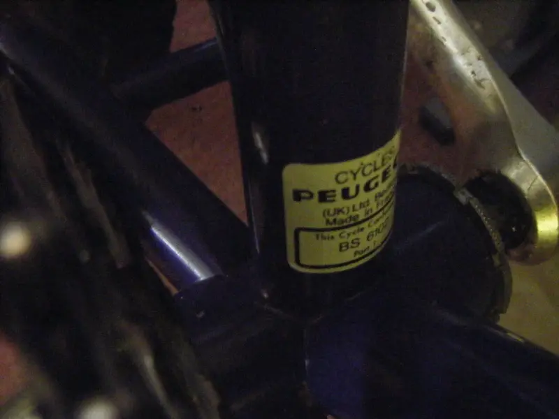 DSCF1195.JPG
