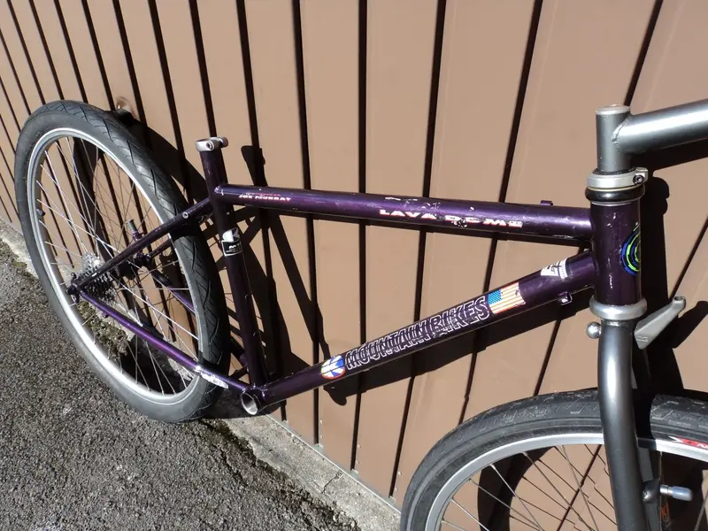 DSC03350.webp