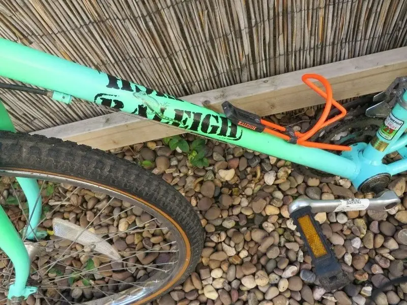 Raleigh Lizard.webp