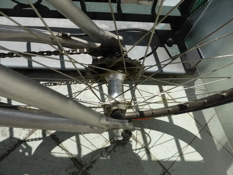 P1010073.webp