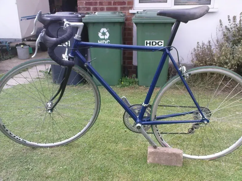 Raleigh 3.webp