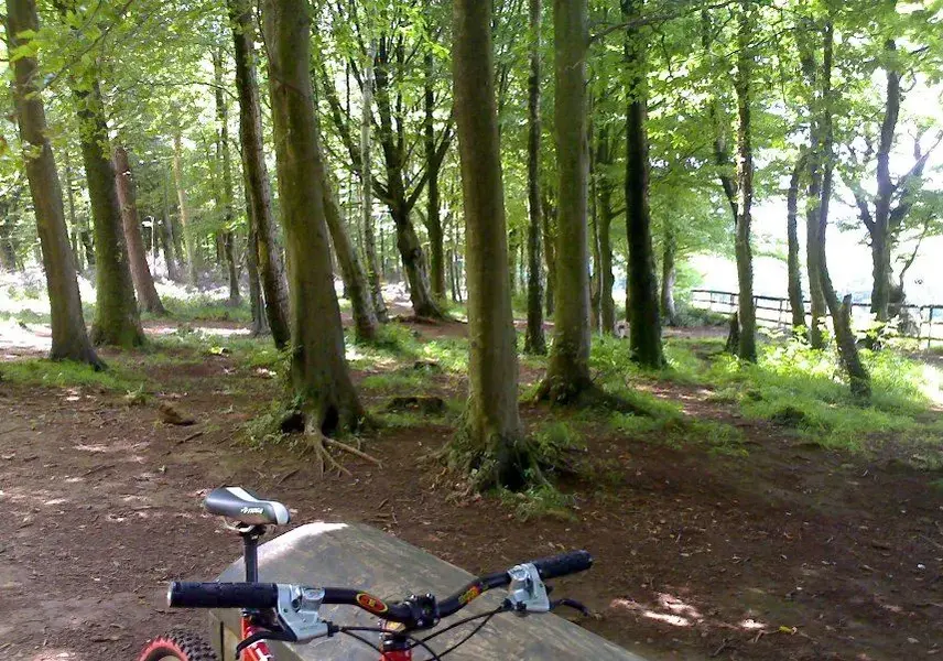 Castell Coch Forest 03-07-2009 (4).webp