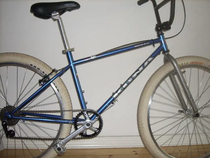 niihau bike.webp