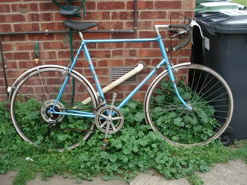 Raleigh Arena GT.webp