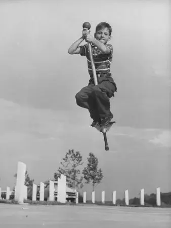 pogo.webp