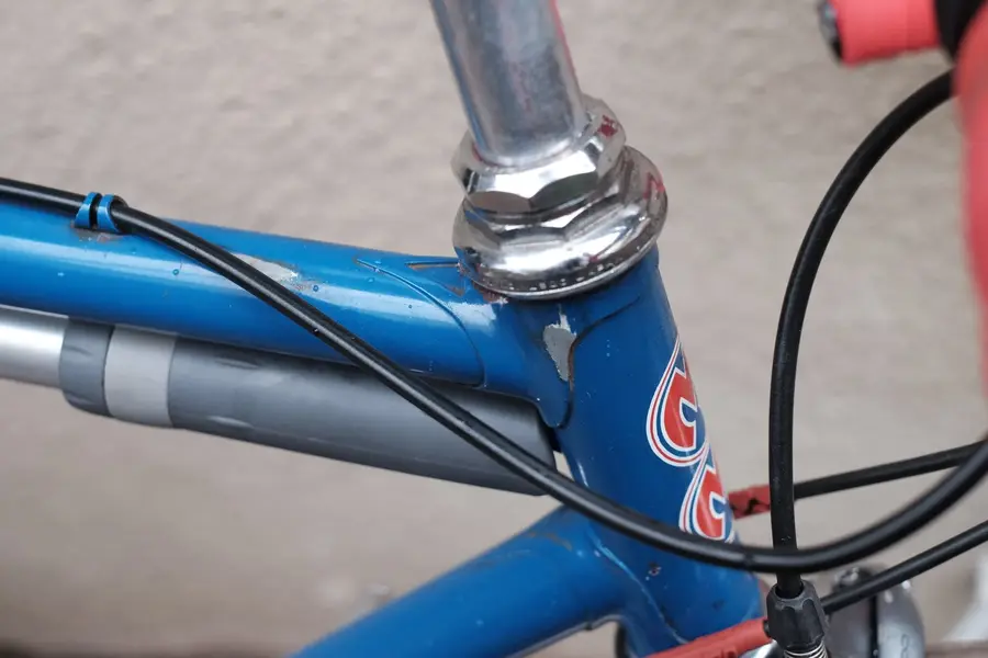 DSCF9665.webp