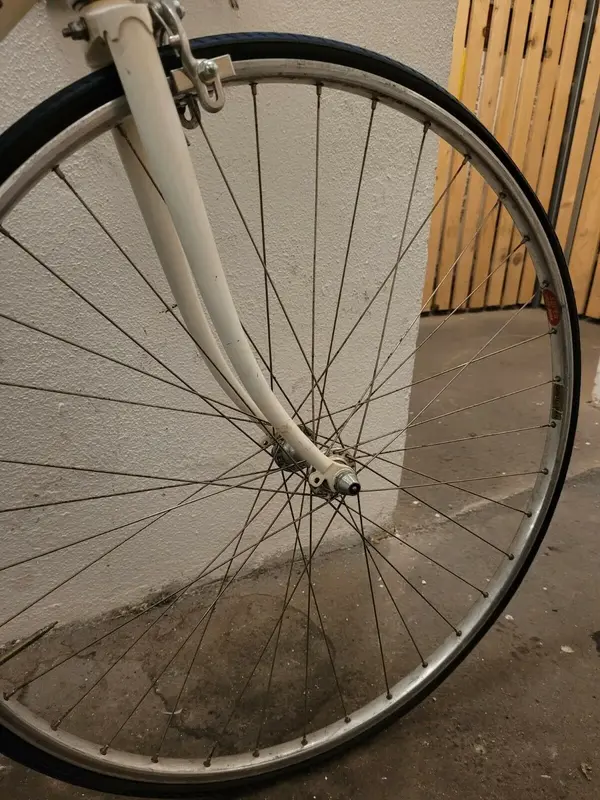 s-l1600 (4).webp